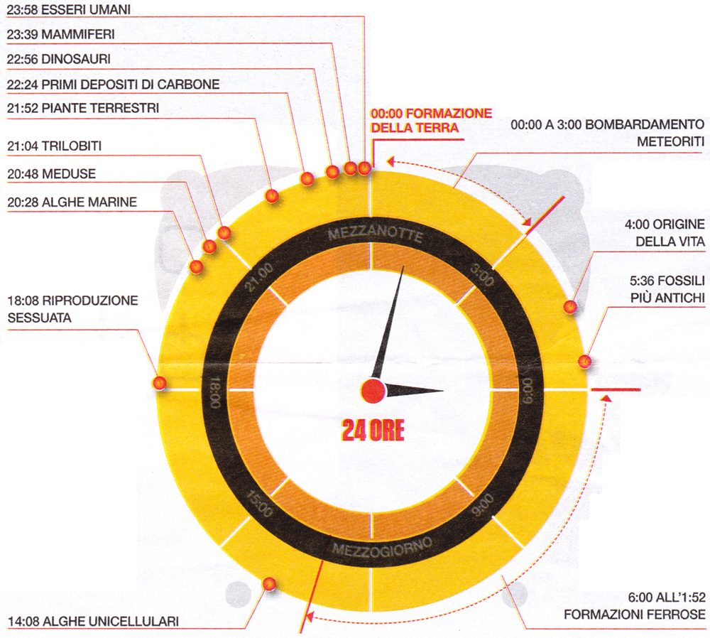 La storia della vita compressa in 24 ore
