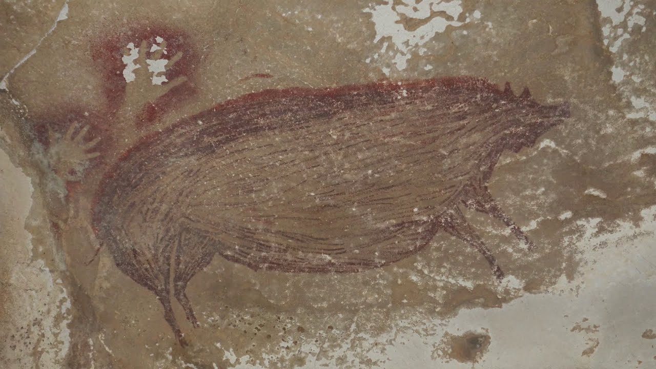 Cinghiale di Sulawesi