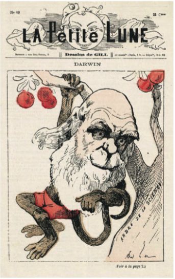 Caricatura satirica di Darwin, La Petite Lune, 1878